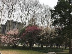 -南京航空航天大学(明故宫校区)