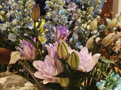 -好伦哥披萨(地坛店)