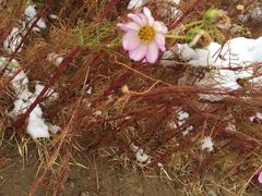 -亿利库布其七星湖沙漠生态旅游区