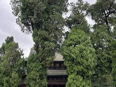 -报恩寺(平武县)