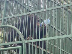 -秦皇岛野生动物园