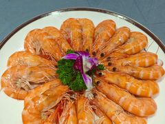 -百年银屏·蚝烙专门店(乐山店)