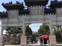 -南汇桃花村