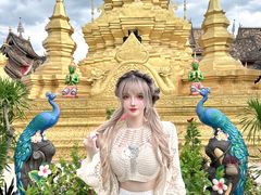 -西双版纳傣族园