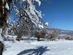 -太子岭滑雪场