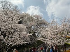 -杭州少年儿童公园