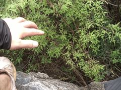 -狼牙山风景区