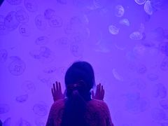 -沈阳海洋探索中心