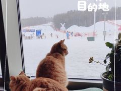 -长白山红松王滑雪场