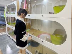 -青奢宠物·青奢猫舍