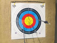 -蓝天射箭馆·专业射箭运动(诚丰广场店)