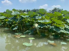 -乌村