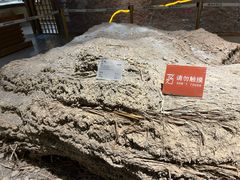 -敦煌市博物馆
