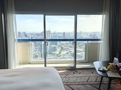 -新加坡瑞士史丹福酒店