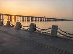 -宝安西湾红树林湿地公园