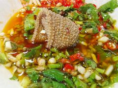 -马帮寨院坝火锅(龙港公园店)