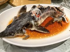 -孙大厨鸽子馆(休门店)