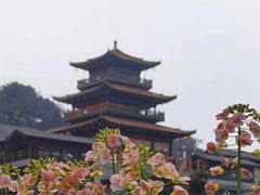 -磁器口古镇