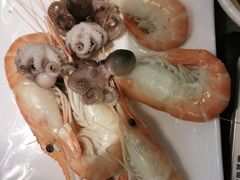 -乔哥铭洋海鲜自助(皇城恒隆广场店)