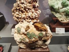 -湖南省地质博物馆