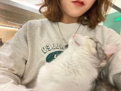 -飞行喵MR PILOT|猫舍·猫咖(静安大融城店)