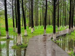 -艾溪湖湿地公园
