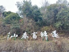 -严子陵钓台(富春江小三峡)