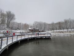 -大兴滨河森林公园