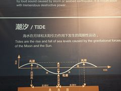 -烟台自然博物馆