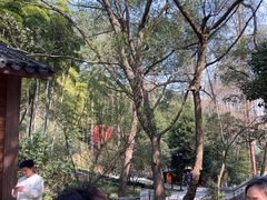 -东明山森林公园