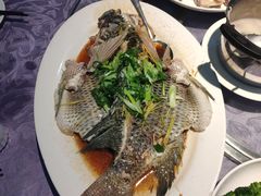 清蒸罗非鱼-联邦酒楼