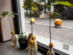 -Punchline Coffee&Roaster(同济大学店)