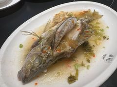 -吴记富苑(朝阳店)