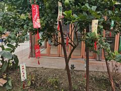 -柠檬花院烤肉·会议团建·聚会·求婚(三圣乡店)