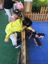 -萌宠亲子动物乐园(槐房万达店)