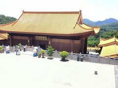 -深圳仙湖植物园