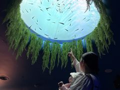 -欢乐海岸海洋奇梦馆