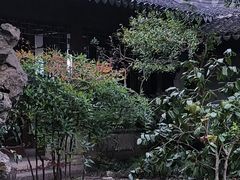 -秋霞圃