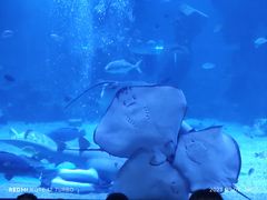 -石家庄海洋公园