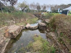 -宜兴龙背山森林公园