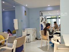 大堂-喵的天空名猫咖啡馆·撸猫·猫舍·用品