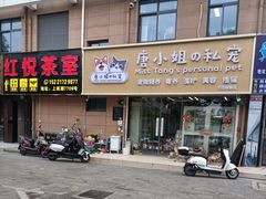 -唐小姐の私宠·宠物洗护美容·撸猫馆·购宠(周浦万达旗舰店)