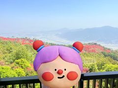 -瑞安圣井山景区