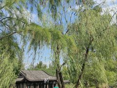 -日出青木·杭帮菜名店