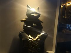 -飞行喵MR PILOT|猫舍·猫咖(静安大融城店)