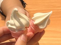 -麦当劳(未来城购物中心店)