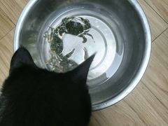 -农家乐大锅台铁锅炖(四流中路店)