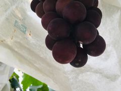 -美家乐农庄·露营·团建(大治路店)