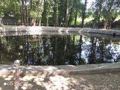 -中华三祖圣地黄帝城遗址文化旅游区