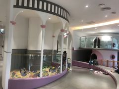 -龙格亲子游泳·水育早教运动中心(绿城店)